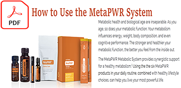 How to Use the MetaPWR System